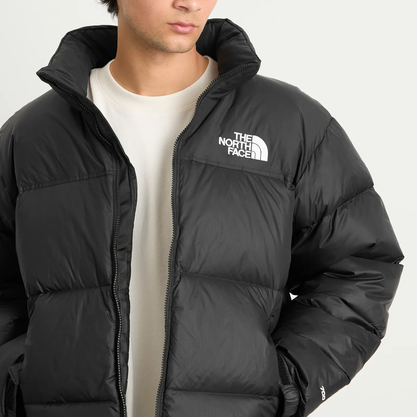 🇺🇸 Calidad Importada - Parka The North Face 1996 Retro Nuptse - Edición 700 Plumas